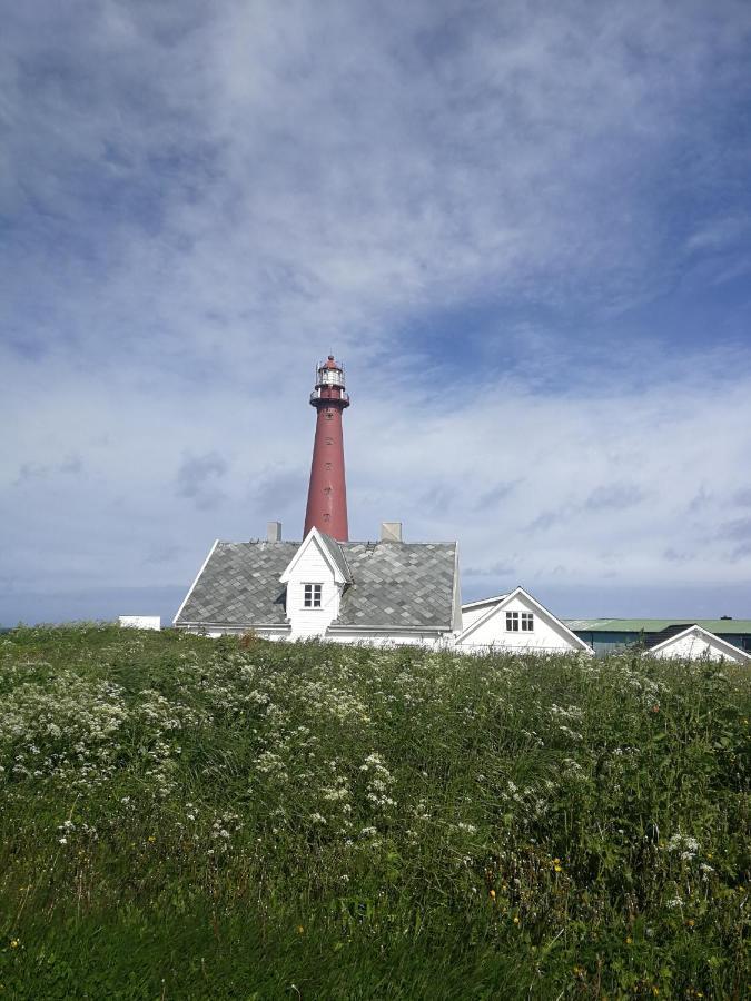 Apt 103 - Andenes Whale Safari Apartments Exteriör bild