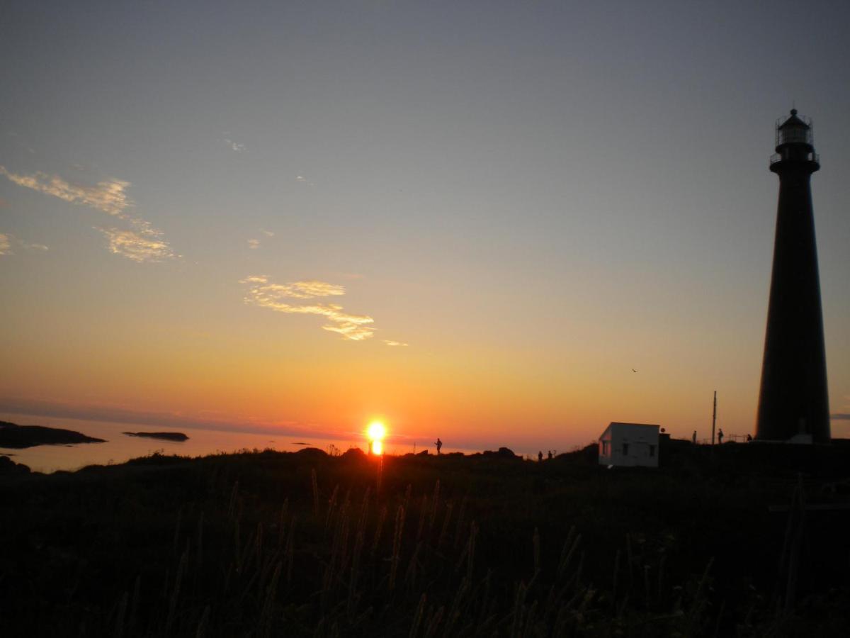 Apt 103 - Andenes Whale Safari Apartments Exteriör bild